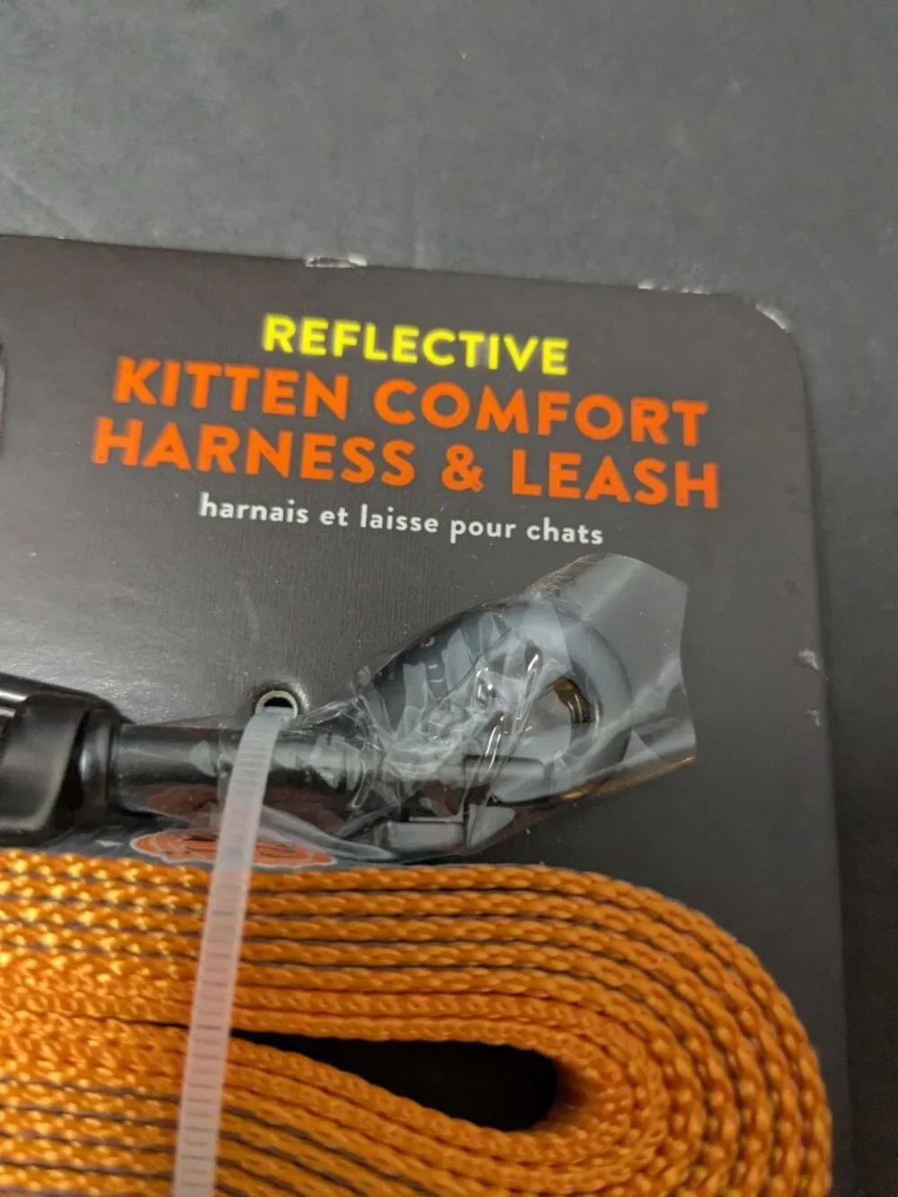 Thrills & Chills Reflective Kitten Harness & Leash Pumpkin Halloween Theme